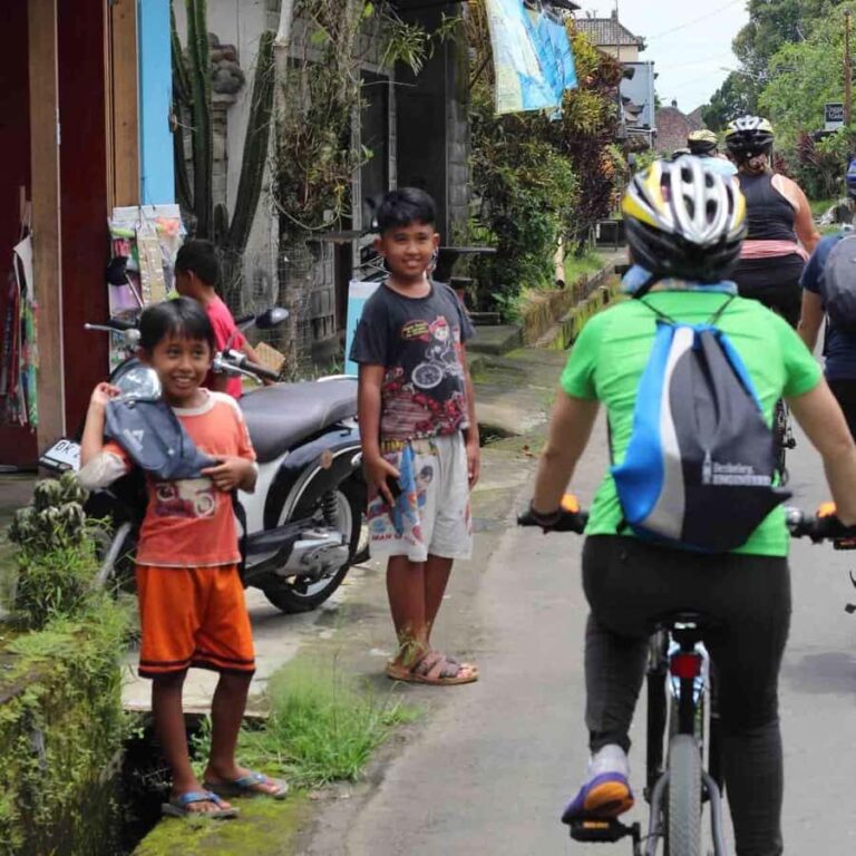 Ubud: Downhill Cycling Volcano, Jungle and Rice Terrace - Practical Details and Value