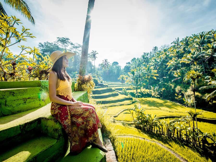 Ubud: Full-Day. Rice Terrace, Tirta Empul Temple & Waterfall - Our Honest Take: Pros and Cons