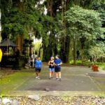 Ubud: Half-Day Tegallalang Electric Cycling Tour - Practical Details That Matter