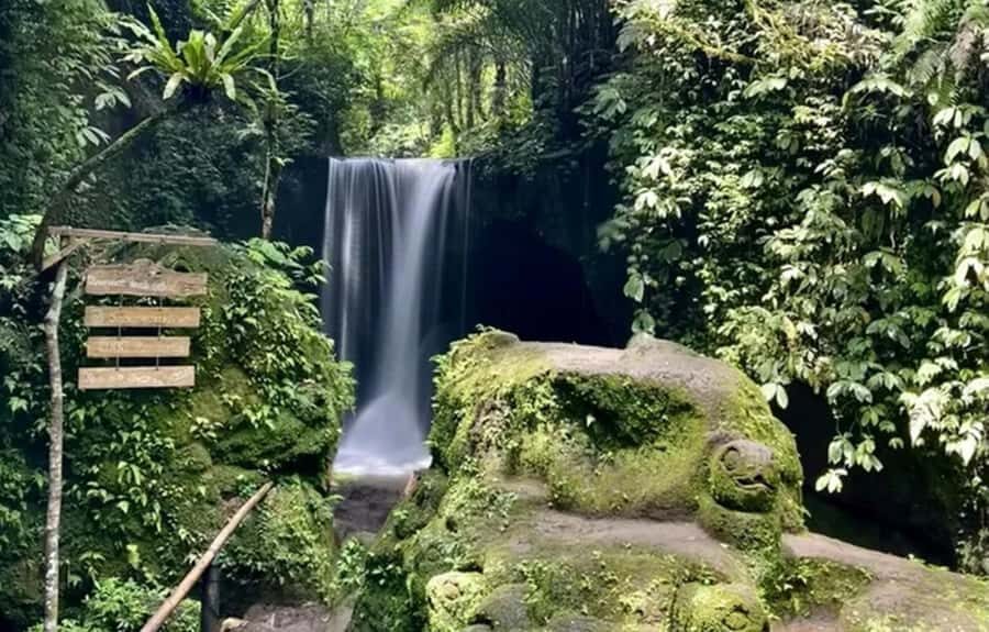 Ubud Hidden Gems: Waterfall Tour - Why This Tour Delivers Value