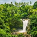 Ubud: Jungle Mud Buggy, Waterfall & Cretya Pool Private Tour - What to Expect on the Day