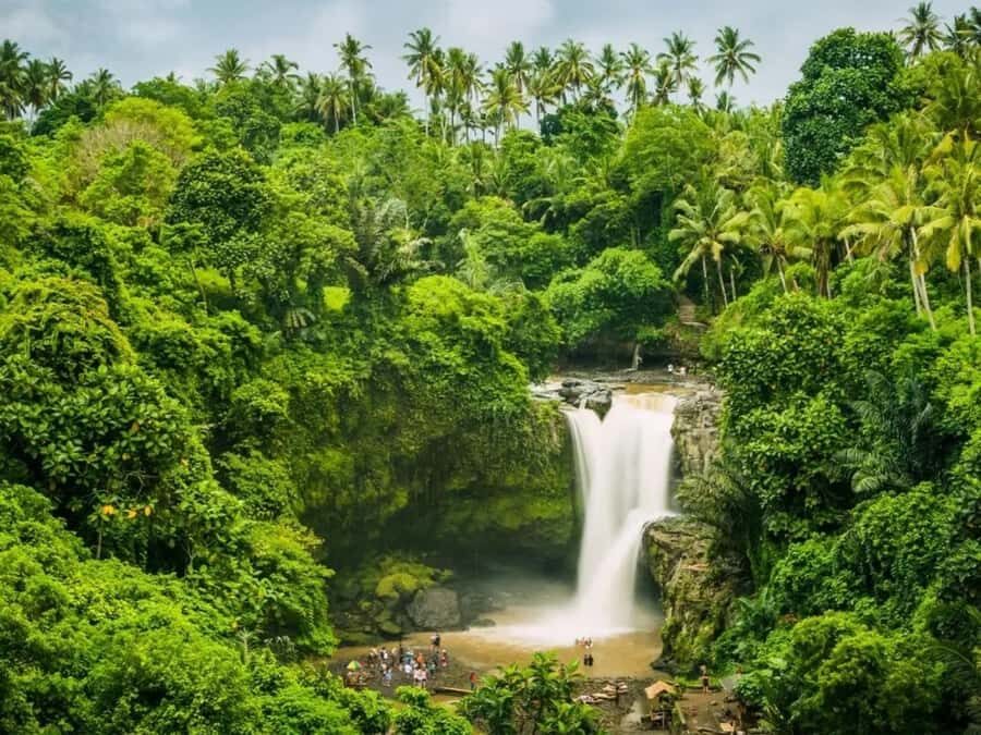 Ubud: Jungle Mud Buggy, Waterfall & Cretya Pool Private Tour - What to Expect on the Day