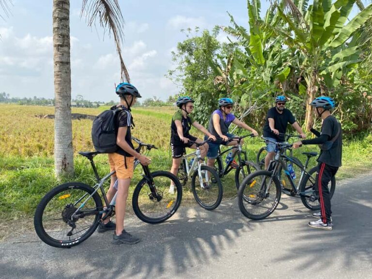 Ubud: Kintamani Downhill Cycling with small group & Private - Who Will Love This Tour?