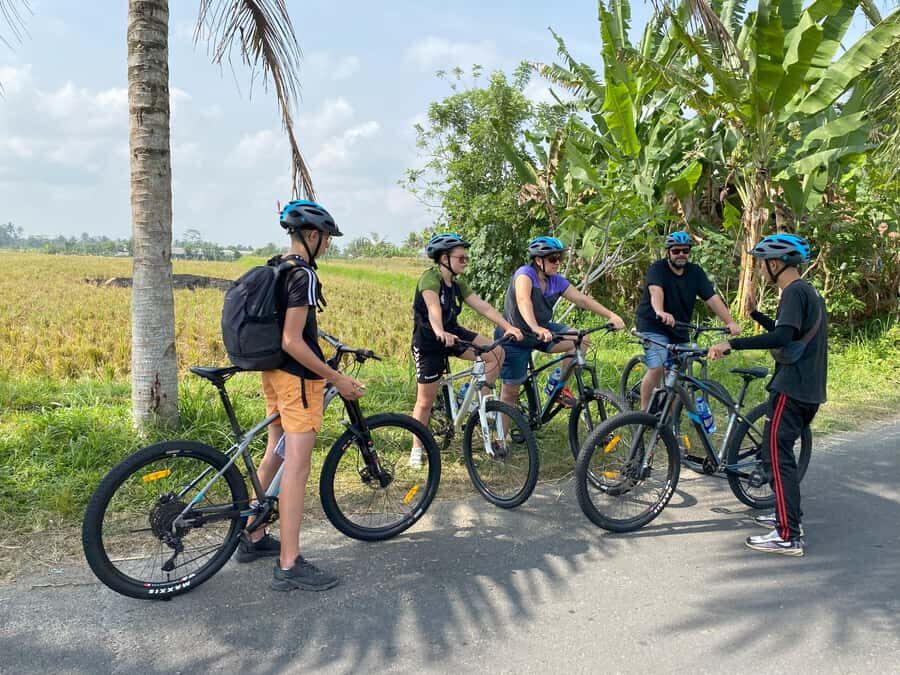 Ubud: Kintamani Downhill Cycling with small group & Private - Who Will Love This Tour?