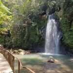 Ubud: Monkey Forest, Rice Terraces, and Waterfall Tour - Practical Details & What to Expect