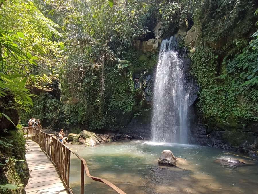 Ubud: Monkey Forest, Rice Terraces, and Waterfall Tour - Practical Details & What to Expect