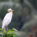 Ubud: Private Tour with Gunung Kawi Temple & Waterfall - Exploring Ubud’s Hidden Beauty