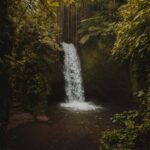 Ubud: Telaga Waja Temple, Waterfalls- Mancingan Rice Terrace - Practical Details and Value