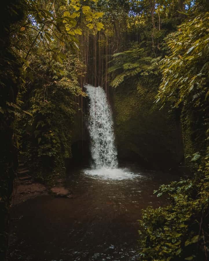 Ubud: Telaga Waja Temple, Waterfalls- Mancingan Rice Terrace - Practical Details and Value