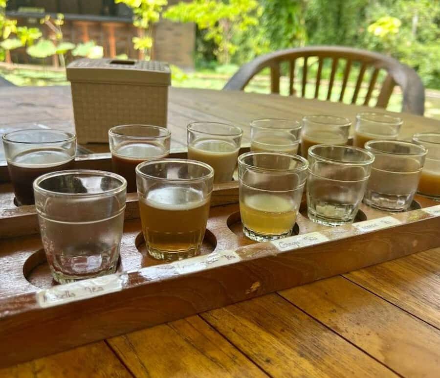 Ubud: Tirta Empul Temple E-Bike Tour with Lunch - Exploring Ubud’s Countryside on Electric Bikes