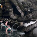 Ubud Top Tours to Discover Balis Cultural and Natural Wonders - Who Is This Tour Best For?