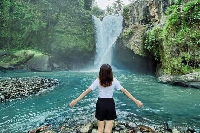 Ubud Tour Water Temple with Jungle Swing - Who Should Book This Tour?
