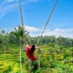 Ubud Tour: Waterfall, Sacred Temple, Rice Terrace, Monkey Forest - Included and Not Included