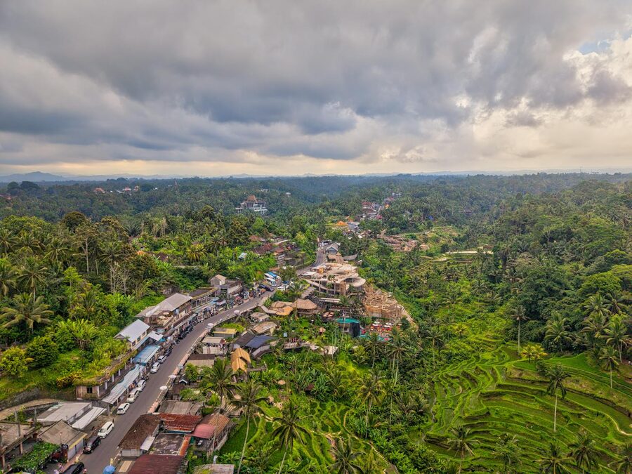 Aerial view of an Ubud village among rice terraces