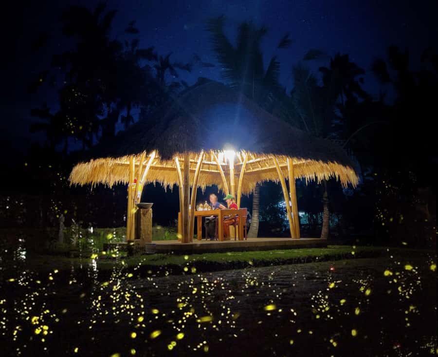 Ubud: Village Firefly Night Tour with Dinner - Visiting a Traditional Balinese Home