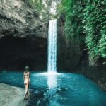 Ubud Waterfalls ,Tirta Mpul ,With Rice Terrace Private Tour - Exploring the Highlights of the Ubud Waterfalls, Tirta Empul, and Rice Terraces Tour