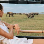 Udawalawa: Udawalawa National Park Safari Tour - What to Expect from the Udawalawe Safari