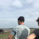 Udawalawe: Private Safari with Picnic and Hotel Pickup - The Itinerary: What Does the Day Look Like?