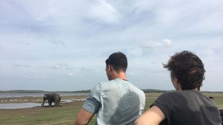 Udawalawe: Private Safari with Picnic and Hotel Pickup - The Itinerary: What Does the Day Look Like?