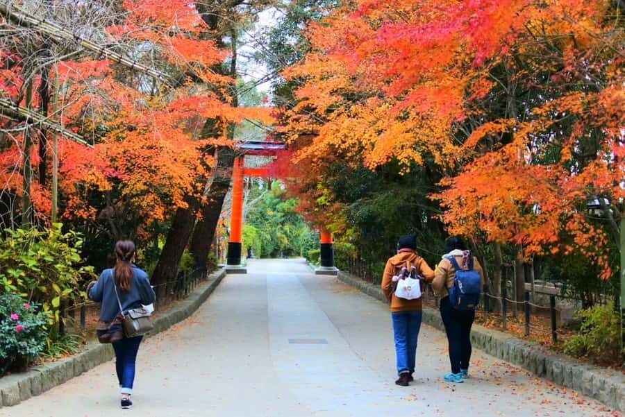 Uji: World Heritage Rickshaw Tour in Uji - What the Tour Feels Like