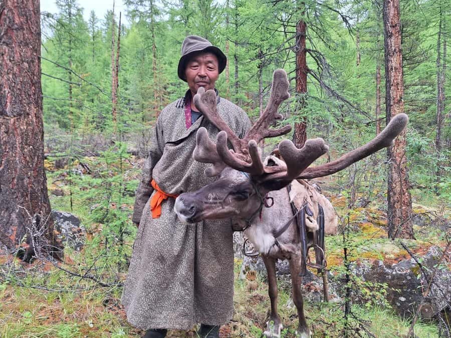 Ulaanbaatar: 9-Day Northern Mongolia Reindeer Adventure - What Makes This Tour Special?