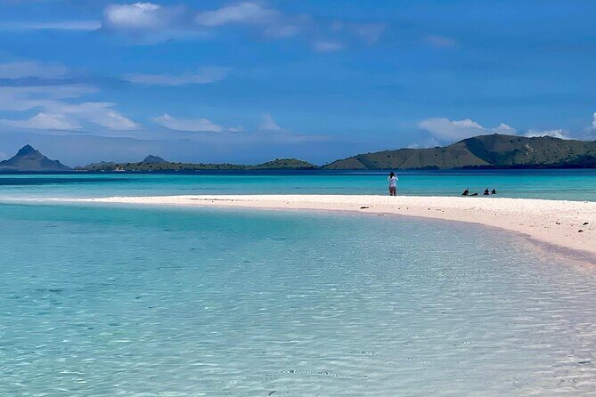 Ultimate Adventure with our Private One Day Komodo Tour - Practical Details and Value