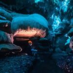 Ultimate Waitomo Glowworm Tour  Private, Tailored, After Dark - Final thoughts