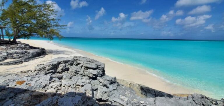 Unforgettable Land Tour on Long Island Bahamas - Who Is This Tour Best Suited For?