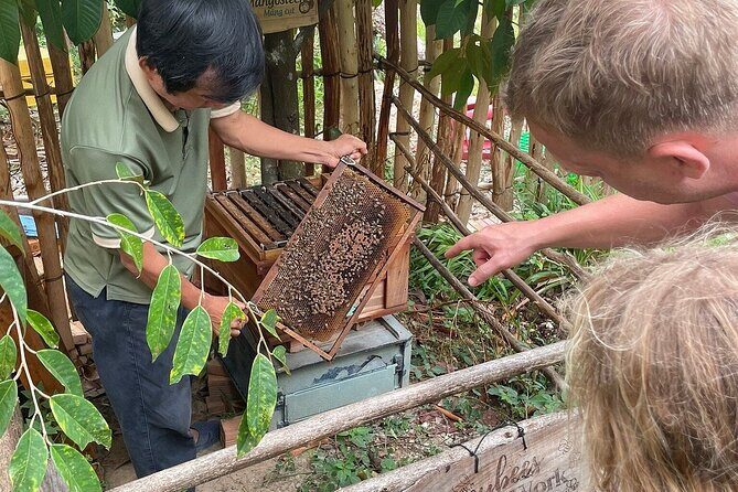 Unique Land Tour Phu Quoc Northern & Kayaking - A Closer Look at the Itinerary and Experiences