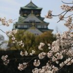Unveiling Osaka's Charms Full Day Private Tour - Why This Tour Offers Great Value