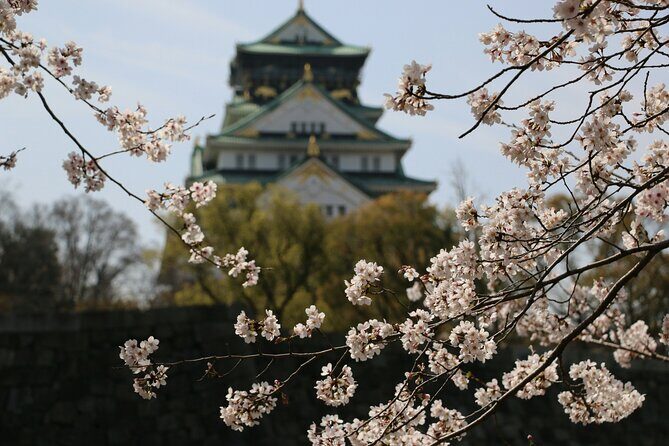 Unveiling Osaka's Charms Full Day Private Tour - Why This Tour Offers Great Value