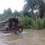 Upper Mekong River - My Tho - Ben Tre full day trip - Who Should Consider This Tour?