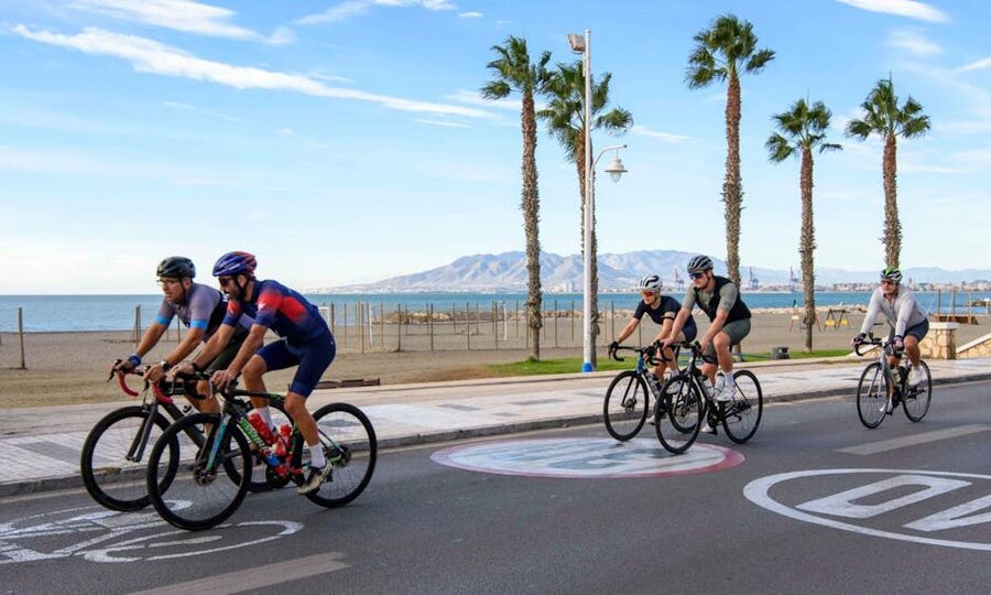 Valencia cyclists riding on seafront with palm trees