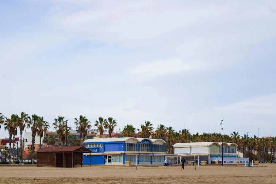 Valencia Malvarrosa beachfront with palm trees