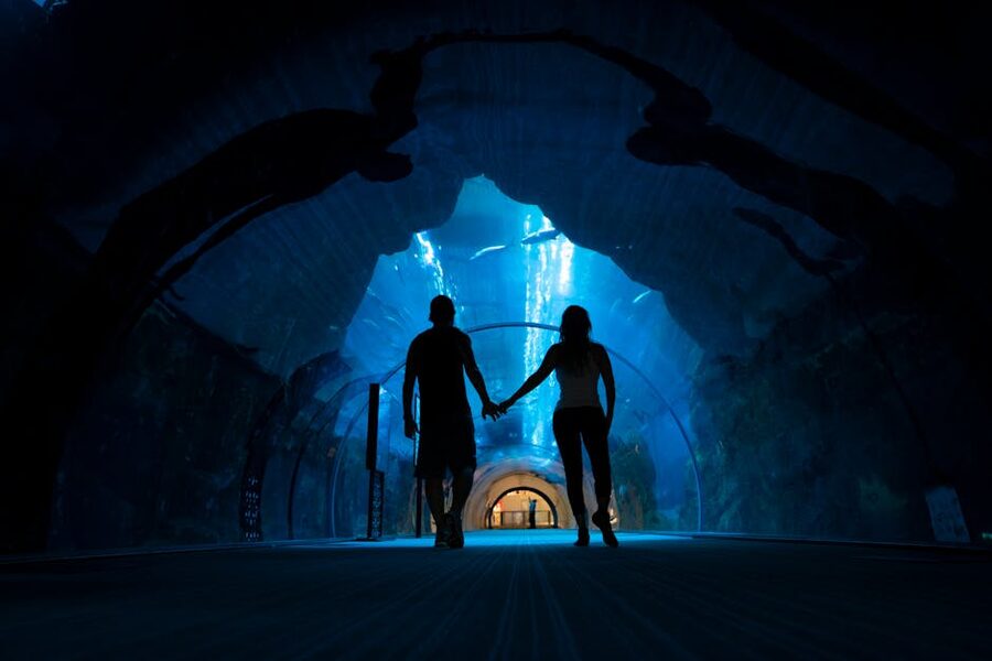 Couple in aquarium underwater tunnel