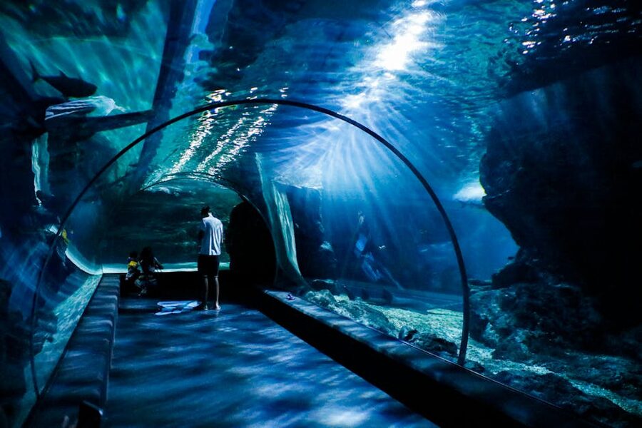 Visitors in underwater aquarium tunnel