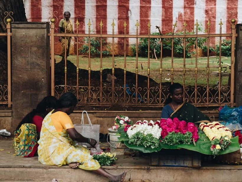 Vannakam Madurai - Explore Madurai like a local - Experiencing Rural Simplicity with Cow Milking