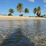 Vieques Bio Bay Tour and Beach Day Trip from San Juan by Ferry - Authenticity and Guides