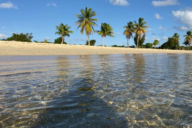 Vieques Bio Bay Tour and Beach Day Trip from San Juan by Ferry - Authenticity and Guides