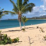 Vieques Island Rich History Tour - Value for Money: Is $125 a Good Deal?