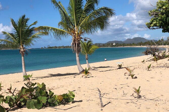 Vieques Island Rich History Tour - Value for Money: Is $125 a Good Deal?