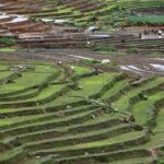 Vietnam: 14-Day Culinary Tour with Cooking Classes - The Real Value of This Tour