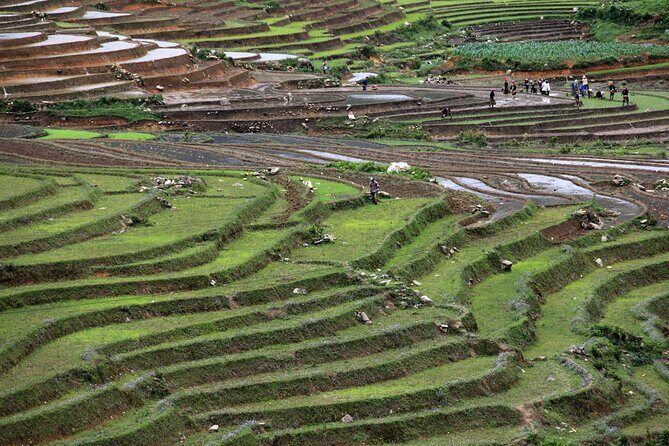 Vietnam: 14-Day Culinary Tour with Cooking Classes - The Real Value of This Tour