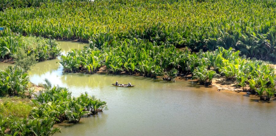 People rowing a boat amidst lush green vegetation in Vietnam