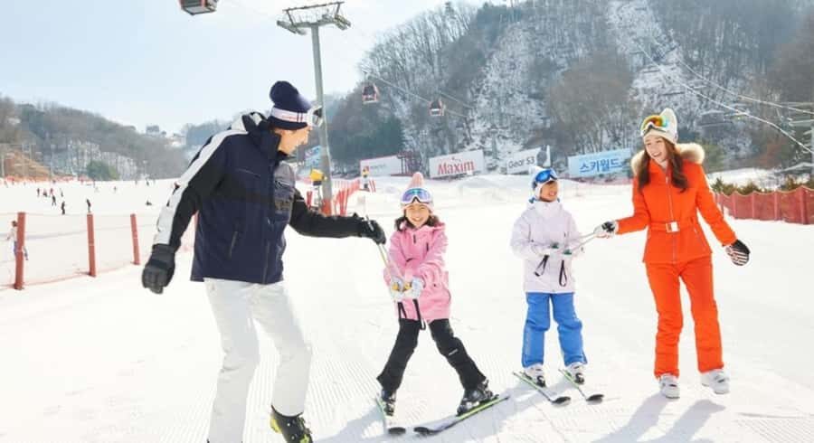 Vivaldi Park - Private Ski Lesson - An In-Depth Look at the Vivaldi Park Private Ski Experience