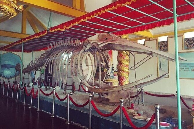 Vung Tau Discovery Private Coastal Journey from Phu My Port - Analyzing the Experience and Value