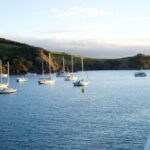 Waiheke Wine and Dine - Batch Winery - Experience Highlights and Authentic Insights from Reviewers