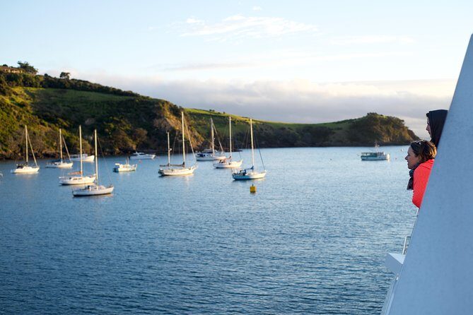 Waiheke Wine and Dine - Batch Winery - Experience Highlights and Authentic Insights from Reviewers