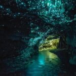 Waitomo Cave and Hobbiton Village Full Day Tour - The Practicalities: What to Expect