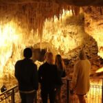 Waitomo Caves, Zealong Tea & Kiwi House Private Tour - Analyzing the Experience’s Value